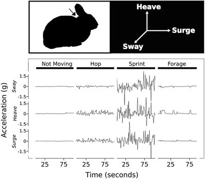 Use of Acceleration and Acoustics to Classify Behavior, Generate Time Budgets, and Evaluate Responses to Moonlight in Free-Ranging Snowshoe Hares